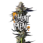Cheat Meal