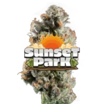 Sunset Park