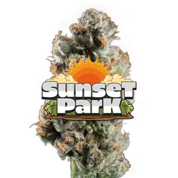 Sunset Park