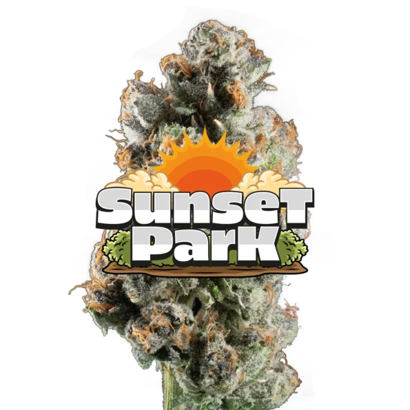 Jeeter Sunset Park Premium Indoor Cannabis Flower