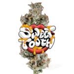 Sweet Tooth