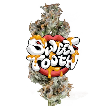 Sweet Tooth